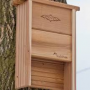 Cedar Bat Shelter