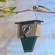 GRN SUET FEEDER WITH TAIL PROP