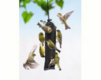 FINCH MAGIC THISTLE SACK