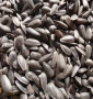 20# BLACK OIL SUNFLOWER SEED