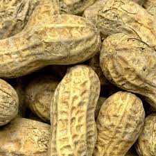 10# PEANUTS IN SHELL