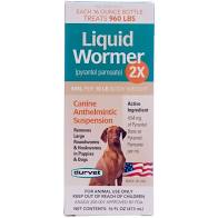 8OZ LIQ WORMER DOG