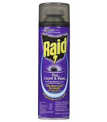 Raid 16OZ Flea Killer          *