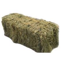 GRASS HAY LOCAL