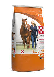 50# EQUINE ADULT 12%