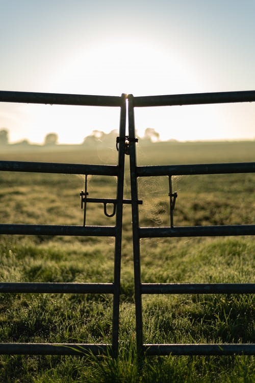 LIVESTOCK SUPPLIES